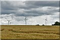 Emberton: Wheat field and wind farm