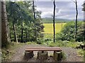 NO5398 : Bell wood seat with a view by Ralph Greig