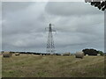 Straw bales and pylon at Tawell Farm