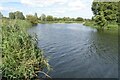 SO9546 : River Avon at Pershore by Philip Halling