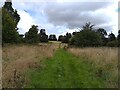 Conholt Park footpath