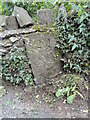 Old Boundary Marker on Cuckoo Lane, Winterbourne Down