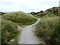 Path through the dunes