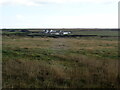 View to Musselwick Farm Cottagtes