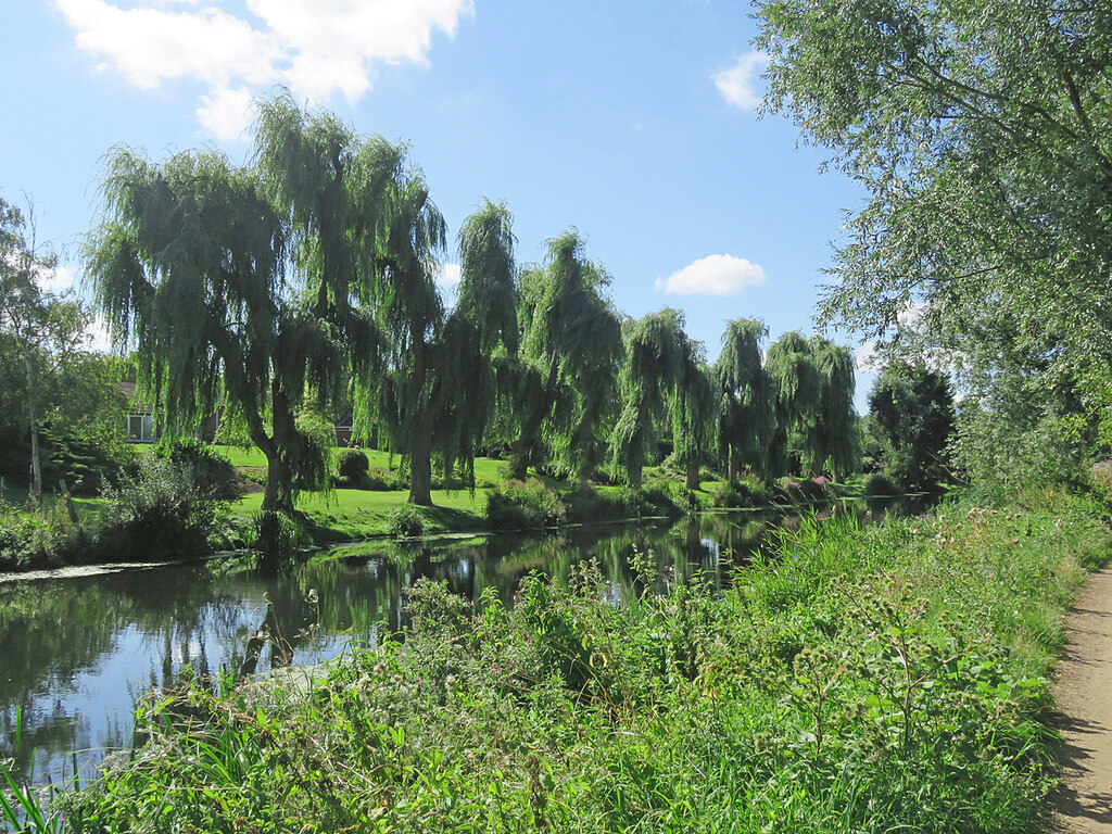 Horningsea Willows Revived © John Sutton Cc By Sa20 Geograph