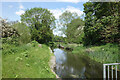 The Wraysbury River at Moor Lane