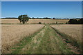 Hertfordshire Way towards Patient End