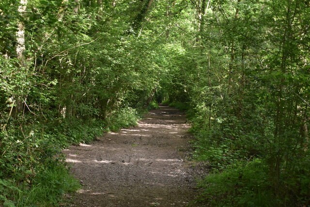 loop-crofton-woods-n-chadwick-geograph-britain-and-ireland