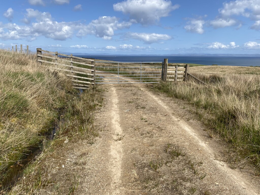 Gate on logging track © thejackrustles cc-by-sa/2.0 :: Geograph Britain ...