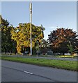 Telecoms mast and cabinets, Malpas Road, Newport