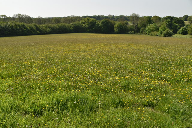 Buttercup meadow © N Chadwick cc-by-sa/2.0 :: Geograph Britain and Ireland