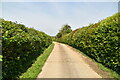 Track to Strood Farm