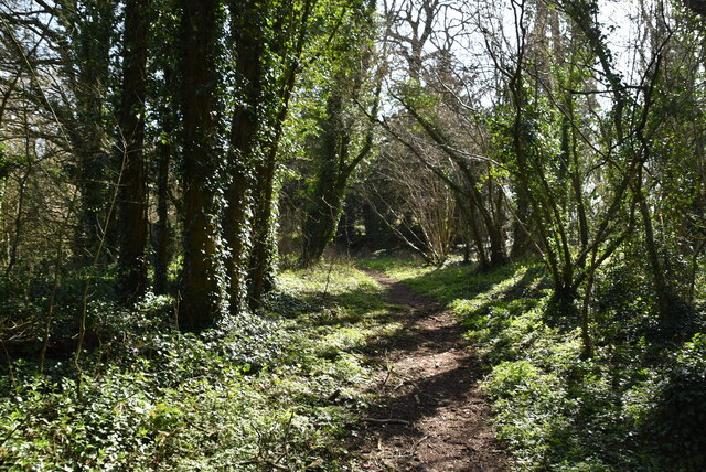 Byway © N Chadwick :: Geograph Britain And Ireland