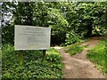 Paths at Whitcliffe Common