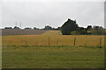 Farmland south of Red Lane