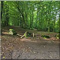 Boulders above the south side of Usk Road, Wentwood