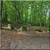 ST4194 : Boulders above the south side of Usk Road, Wentwood by Jaggery