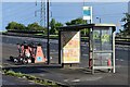 Bus shelter beside the A33, for Millbrook Station