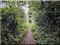 Stones Lane reduced to a footpath