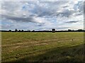 TF0820 : Hay stacked in the field by Bob Harvey