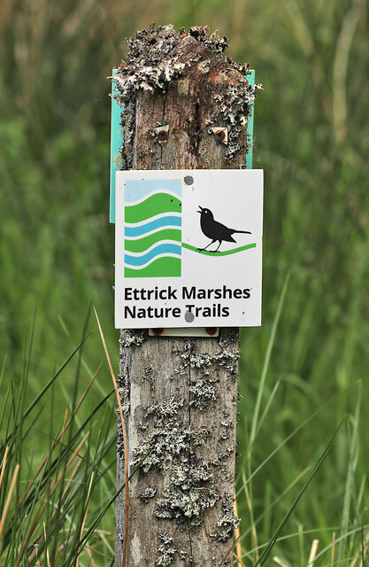 An Ettrick Marshes Nature Trails... © Walter Baxter :: Geograph Britain ...