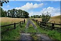 Driveway to the Ling Farm