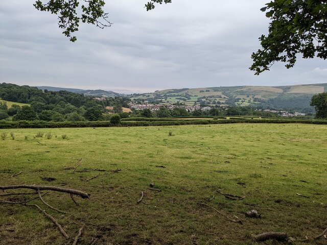 a-grassy-field-above-rhayader-david-medcalf-cc-by-sa-2-0-geograph