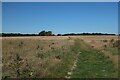 Hertfordshire Way from Patient End