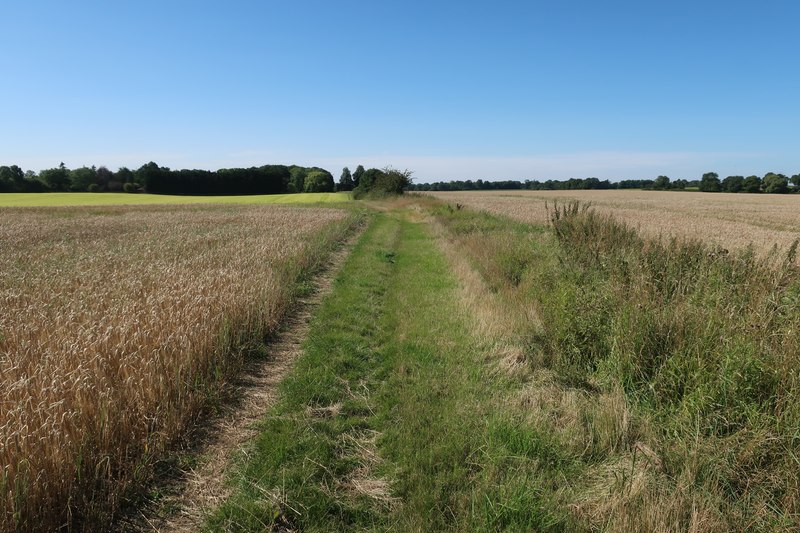 Hertfordshire Way © Hugh Venables cc-by-sa/2.0 :: Geograph Britain and ...