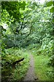 Path east of Pant Mawr