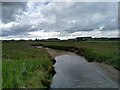 NO4820 : Wetland at River Eden by Aleks Scholz