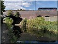 Saltley Viaduct crosses the Grand Union Canal