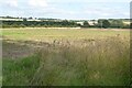 Farmland near Brixworth