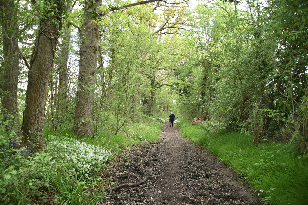 Bridleway © N Chadwick Cc By Sa 2 0 Geograph Britain And Ireland