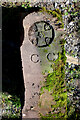 Old Boundary Marker near Knockupworth Farm, Beaumont parish