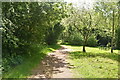 Footpath to Mowshurst