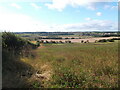 Looking south from Hare Hill towards Thornley