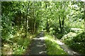 Cycle path beside the River Weaver