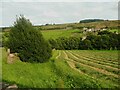 View across the valley of the River Ribble, Cartworth