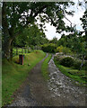 The track leading to Ashgrove, Corriecravie, Arran