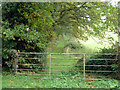 Public footpath east from Doiley Bottom towards Binley