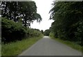 Unclassified road near East Lodge, Darnaway