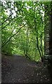 Daff Glen footpath