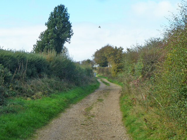 Byway over Walbury Hill © Robin Webster cc-by-sa/2.0 :: Geograph ...