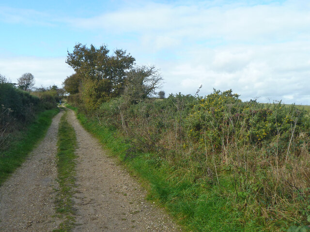 Byway over Walbury Hill © Robin Webster cc-by-sa/2.0 :: Geograph ...