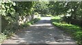 Country lane at Beckwith.