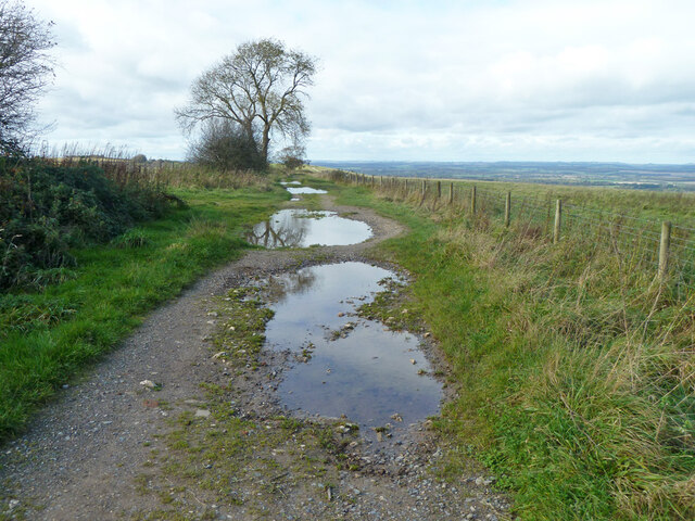 Byway over Walbury Hill © Robin Webster cc-by-sa/2.0 :: Geograph ...