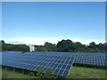 Solar farm, Broom, near Tytherleigh