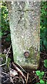 SE2938 : Benchmark on concrete gatepost on SE side of A6120 near Tunnel How Hill by Roger Templeman
