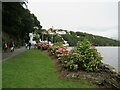 SH5836 : Rhododendrons on the waterfront, Portmeirion, near Porthmadog by Malc McDonald